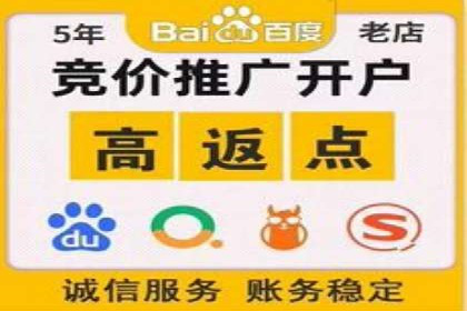 探索sem账户竞价运营的未来趋势与案例